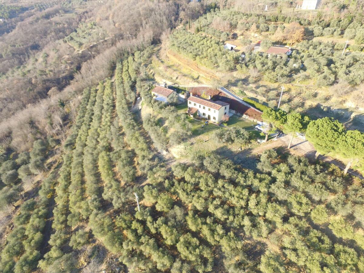 Holiday House Petrarca Arqua Petrarca Exterior foto